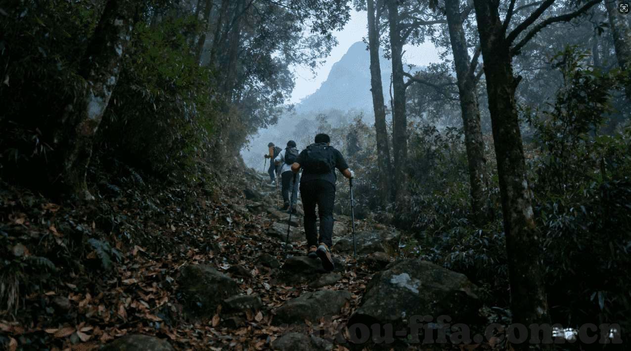 世界杯竞彩app下载平台-世界杯竞彩app下载平台，掌握精彩赛事，尽享足球盛宴